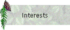 Interests